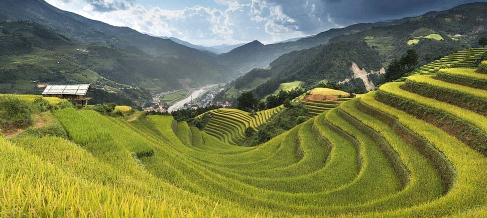 rizieres-vietnam