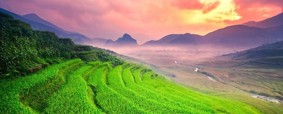 Rizieres-Vietnam