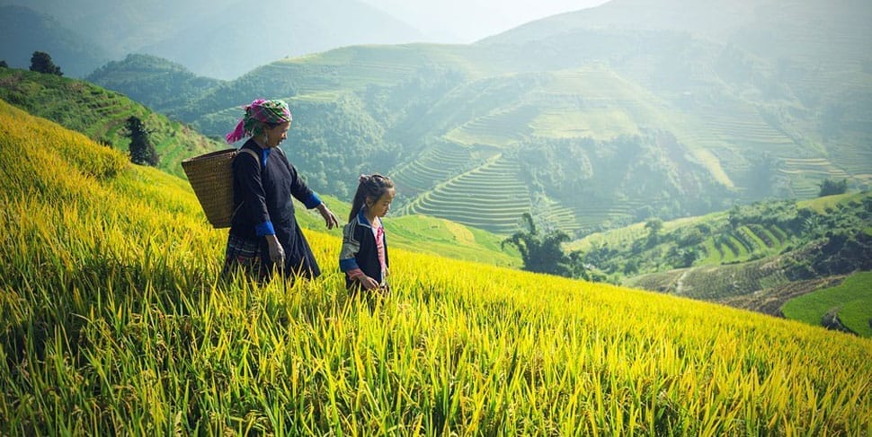 sapa