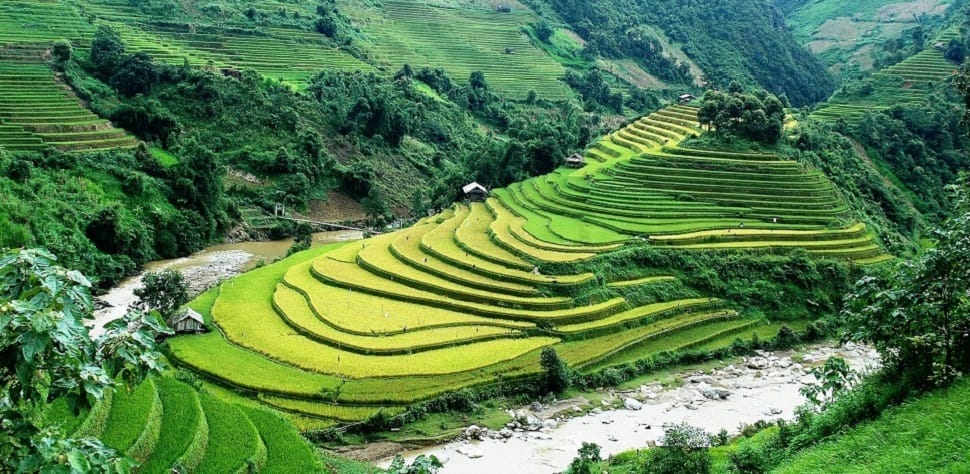 Sapa-Rizieres