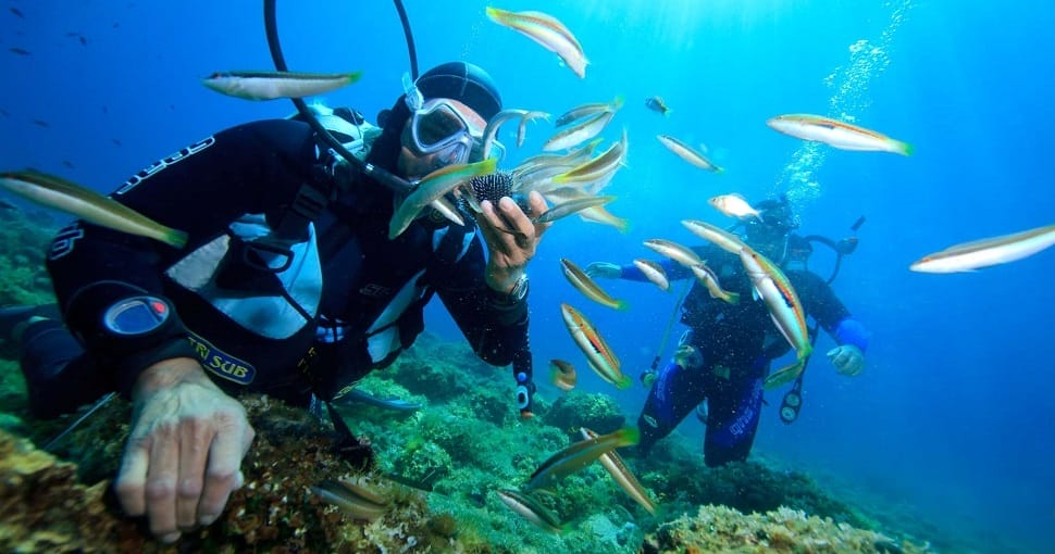 snorkeling_ha-long