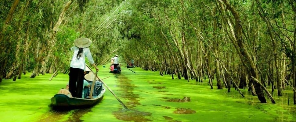 Forêt de Cajeputiers de Tra Su