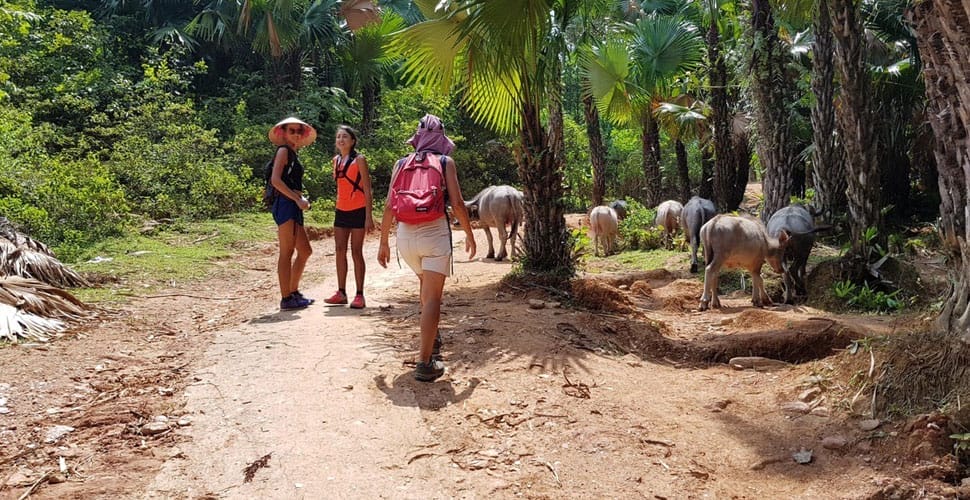 trek-vietnam