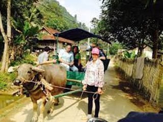 trung-do