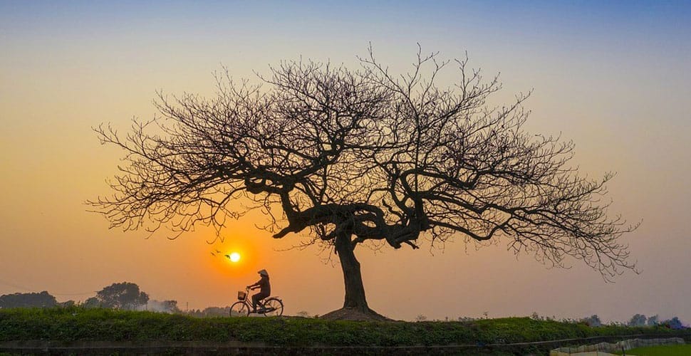 Velo-Ninh-Binh