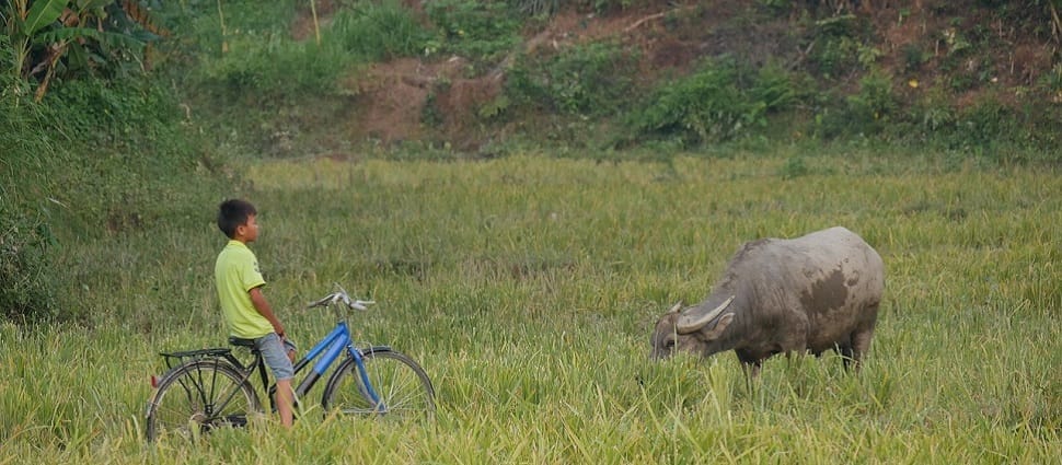 Velo_Nord-VN