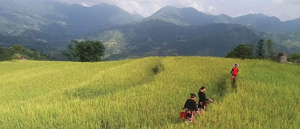 hoang-su-phi-lodge