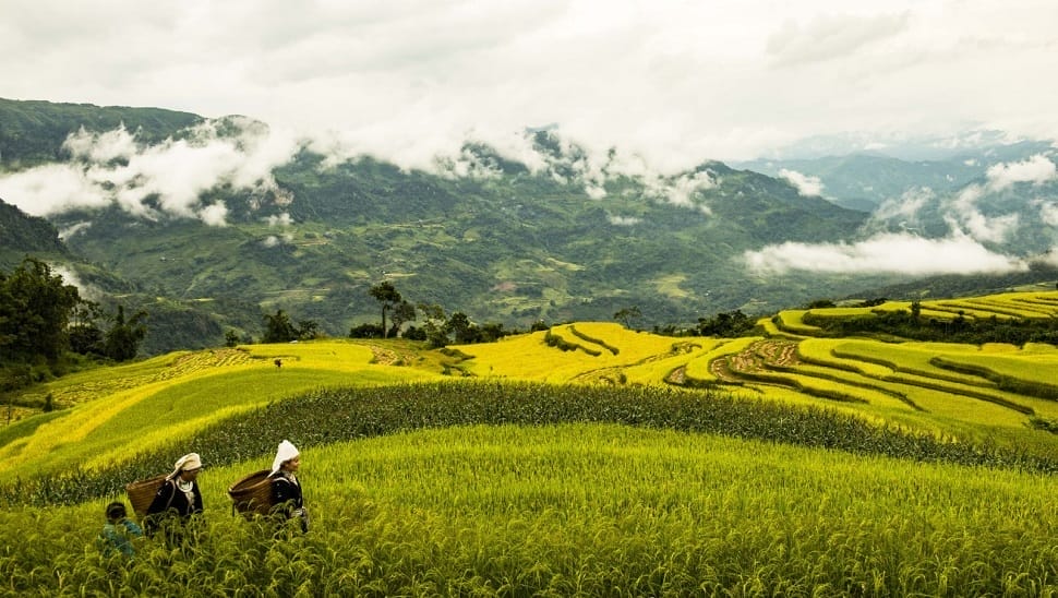 hong-thai_tuyen-quang