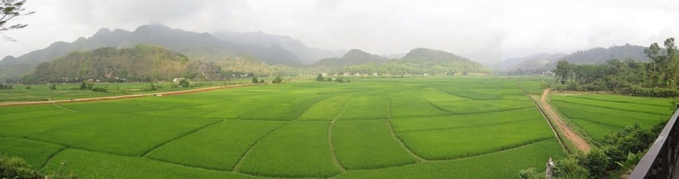 mai-chau