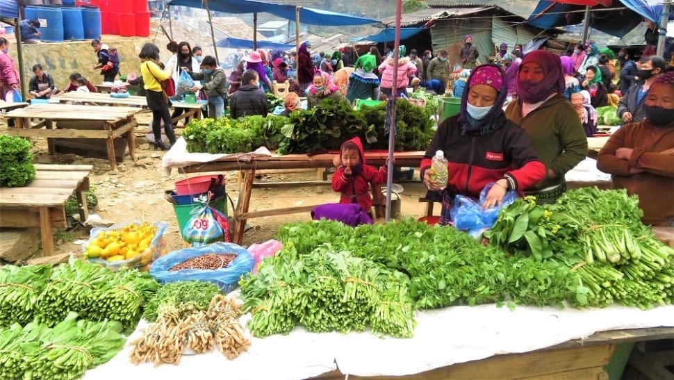 marche_bac-ha