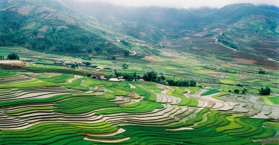 mu-cang-chai