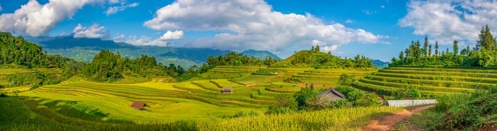 nam-hong-hoang-su-phi