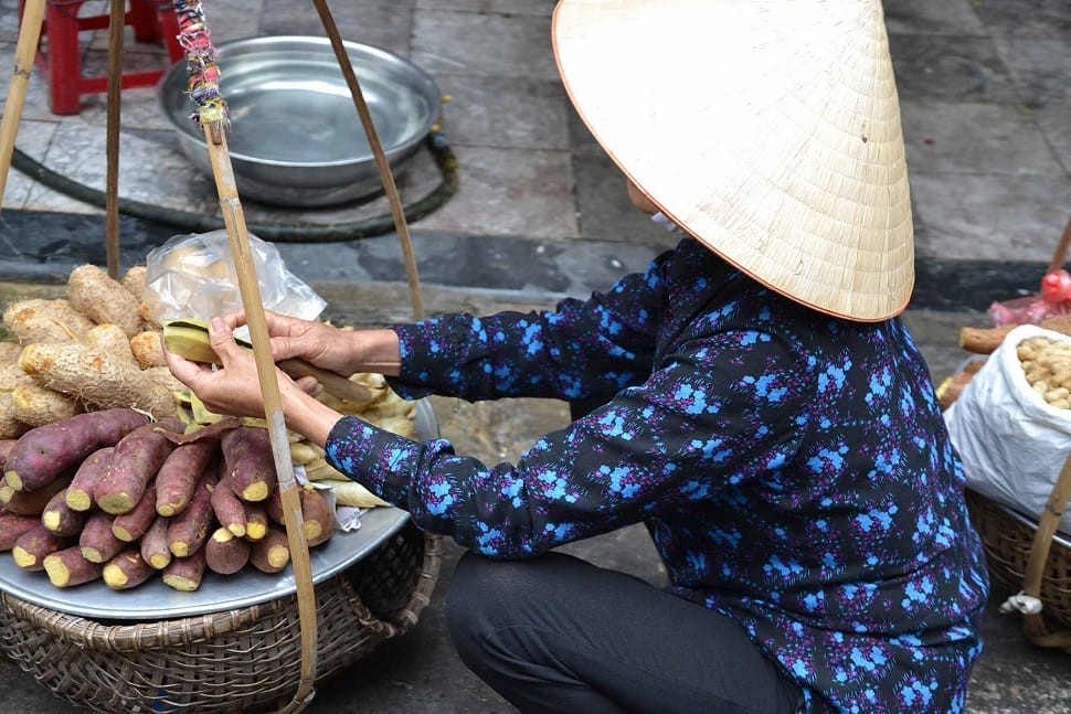 patate-douce_vietnam