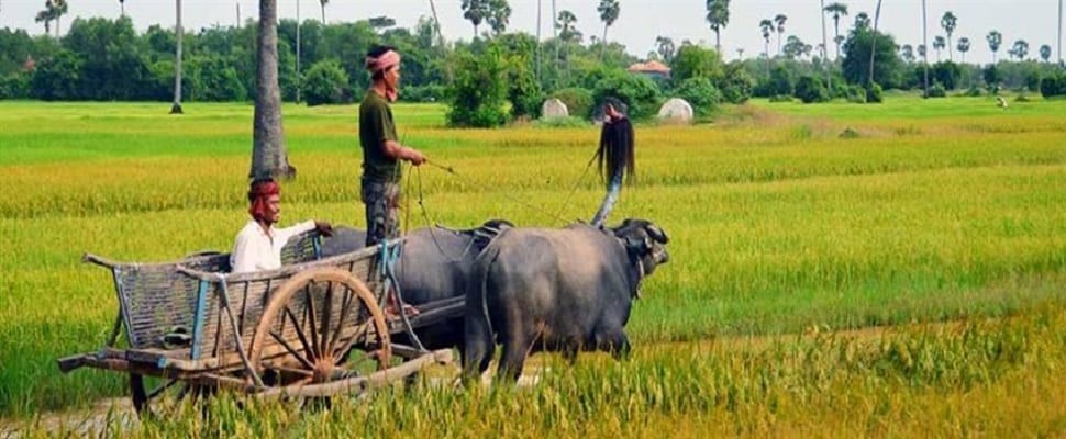 prey-veng