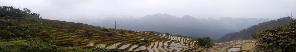 pu-luong