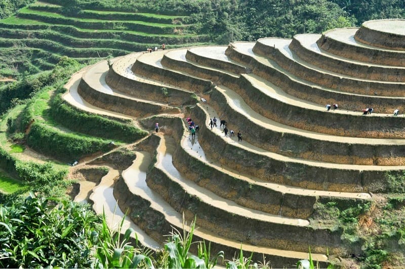 Randonnee Bac Ha Hoang Su Phi 7 jours rizieres ban lien