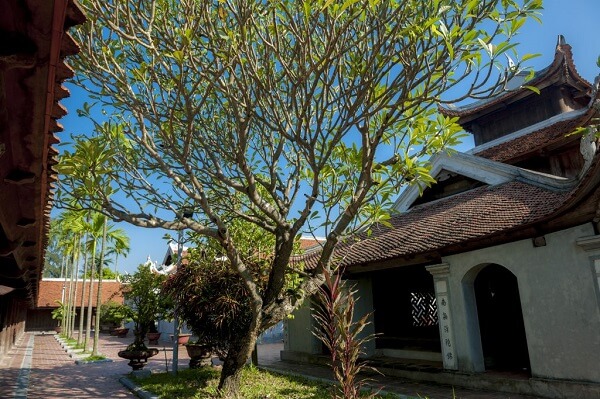 Paysage de la pagode But Thap au printemps