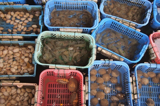 Les spécialités culinaires de la baie
