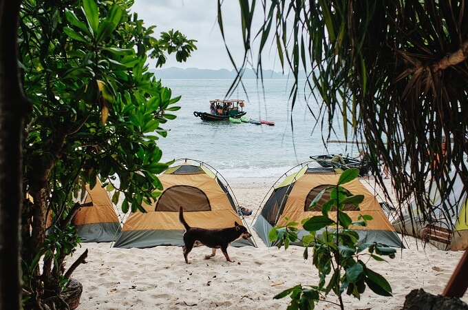 Le camping dans un coin tranquille de la baie