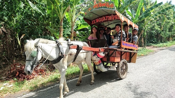 Procéder à la visite de l’îlot Cồn Phụng en calèche