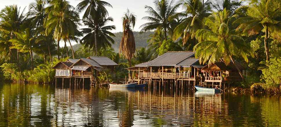 Cardamones-au-Cambodge