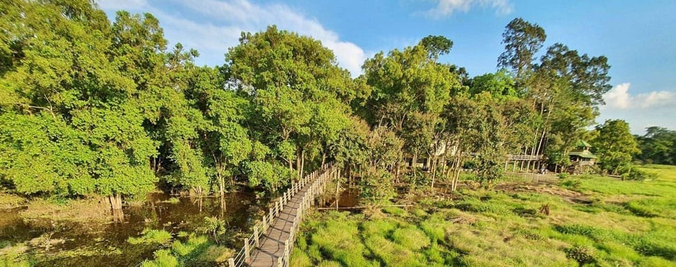 Entre décembre à mai est la meilleure période pour visiter Nam Cat Tien