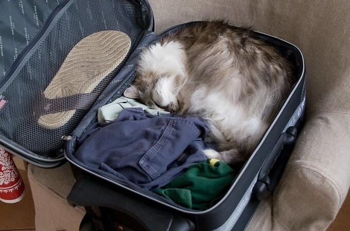 Ne vous chargez pas trop car vous devrez souvent porter vos bagages