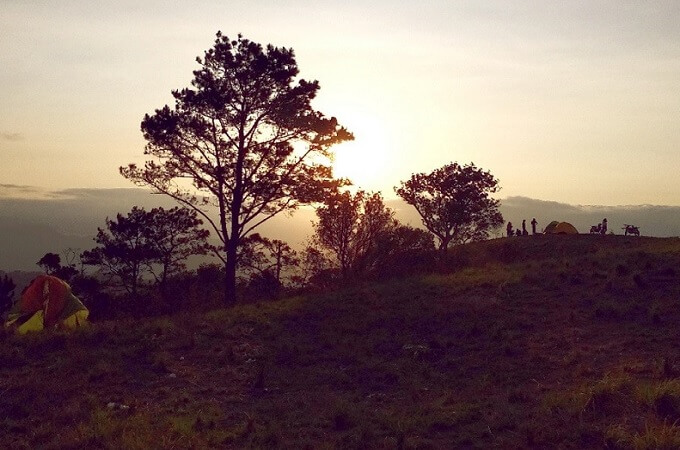 Les gouttes de soleil brillent à travers les feuilles de la forêt