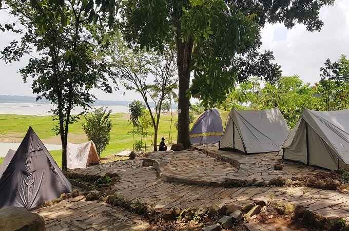 La forêt de Ma Da a une beauté sauvage unique sans aucune exploitation humaine