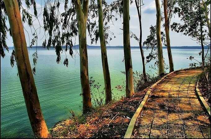 Ilot Chim O sur le lac Tri An