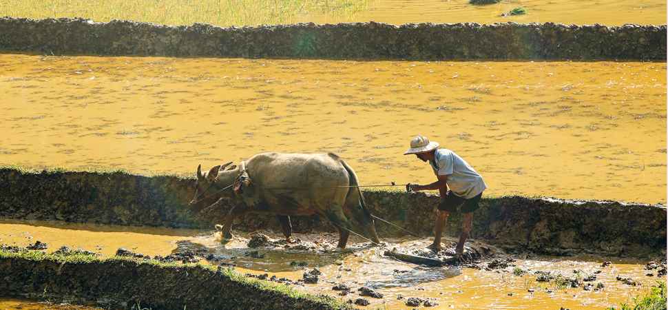 une immersion totale dans la culture et la vie quotidienne de ses habitants