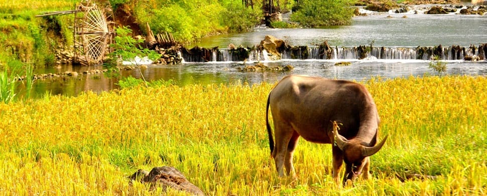 Randonnee_a_Pu_Luong