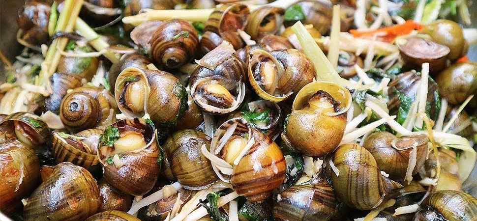 Escargot sauté au Vietnam