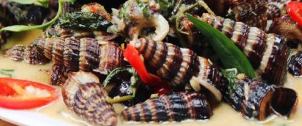 Escargots-sautes-Coco