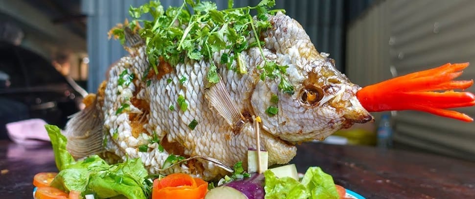 gourami