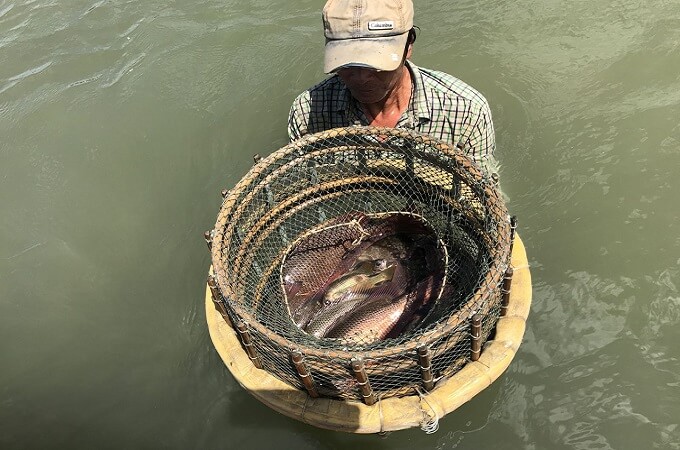 Spécialités de poissons sur le lagon