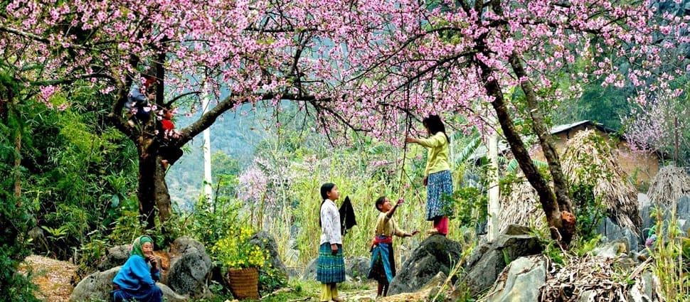 janvier-vn