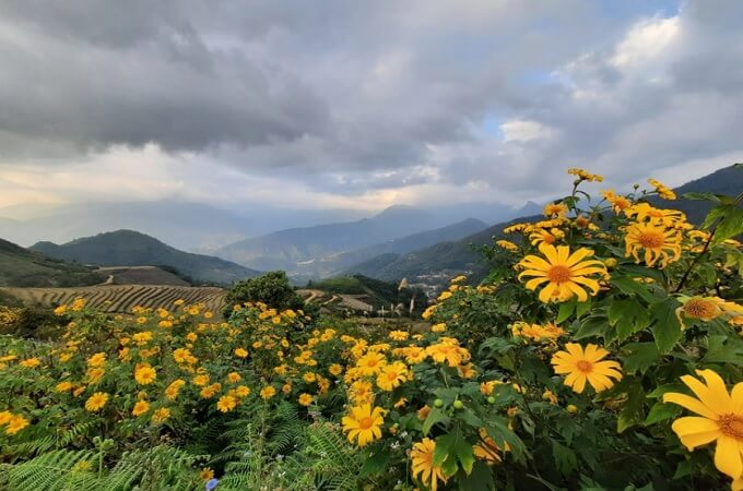 L'été est une bonne période pour visiter Sin Suoi Ho