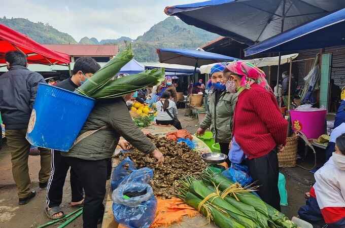 Choisissez d'acheter des feuilles de dong pour envelopper le banh chung, Lung Khau Nhin, Lao Cai