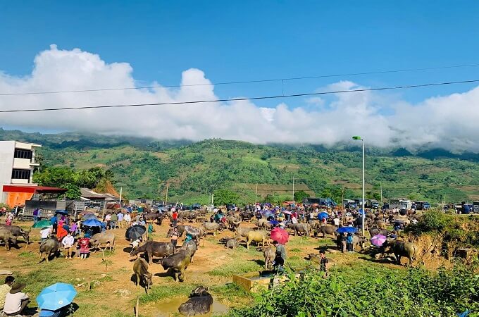 Le marché s’est organisé selon le type de marchandise, Coc Ly, Lao Cai