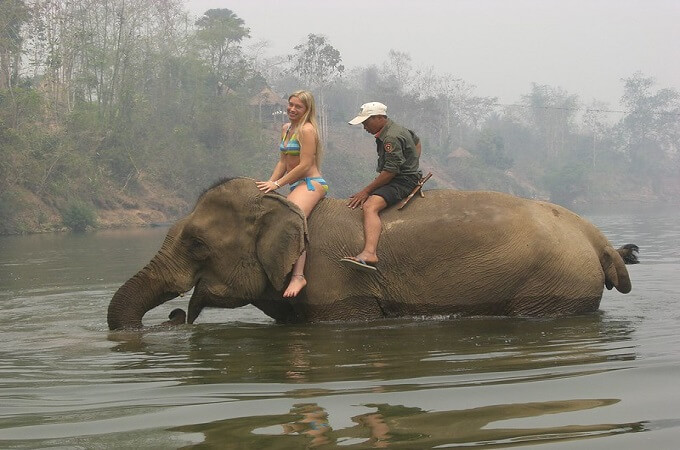 La balade à dos éléphant est une activité originale qui contribue à la préservation de cette espèce symbolique