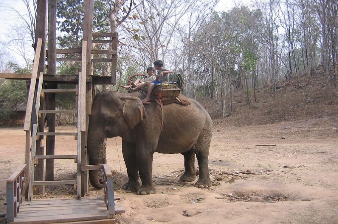 Le pays du « million d’éléphants »