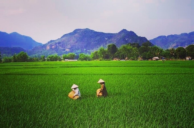 Rando à Mai Chau et Pu Luong, expérience recommandée pour tous les voyageurs