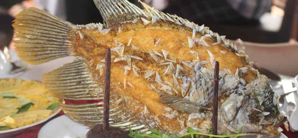 Mekong-Garden-Resort-Poissons