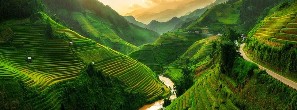 Rizieres en terrasse dans le Nord du Vietnam