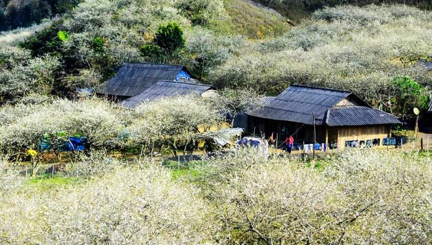 Escapade moto Moc Chau depuis Hanoi paysages