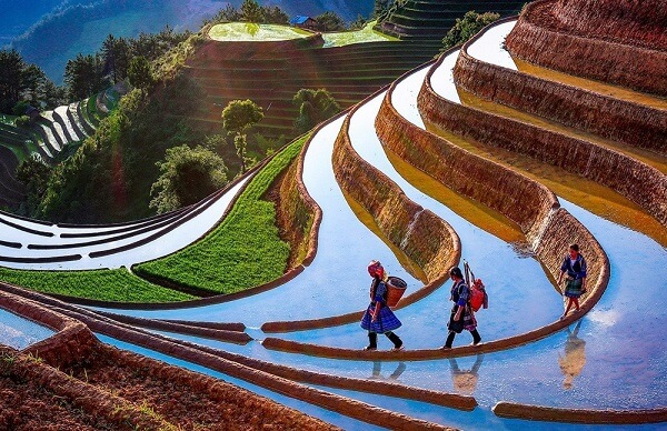 Mu Cang Chai à la saison d'eau