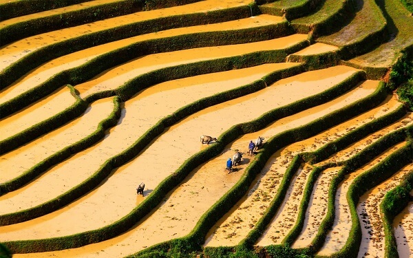Magnifique scène des agriculteurs travaillent la terre