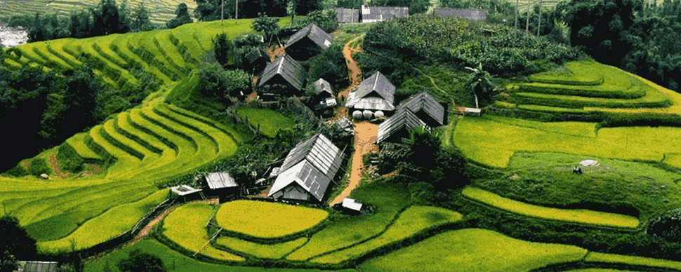 Nghia-Lo