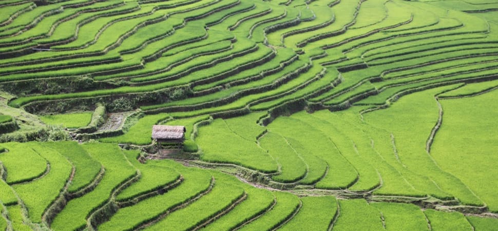 Nghia Lo